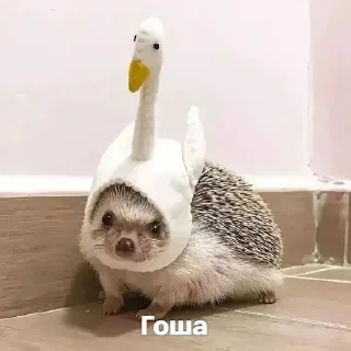 🪿 emoji Ежиное государство Telegram sticker 5 of 59