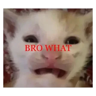 🫥 emoji Енотик Telegram sticker 5 of 43