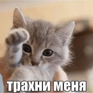 💖 emoji пезда Telegram sticker 5 of 40