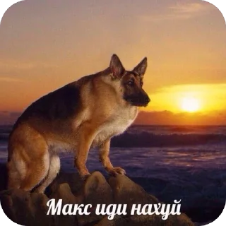 🥰 emoji сексомания<33 Telegram sticker 21 of 120