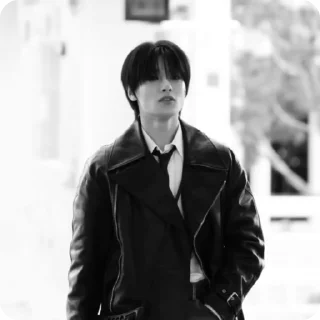 🌟 emoji B&W Jeongin @TuETiKs Telegram sticker 14 of 18
