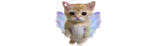 🐈 emoji @EARTH928B <- БОЛЬШЕ Telegram sticker 11 of 30