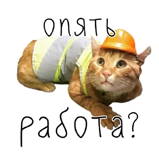 😬 emoji коты ишачат на заводе Telegram sticker 24 of 34