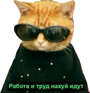 😎 emoji Умру на заводе Telegram sticker 6 of 39