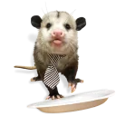 Sticker from Opossum-Sesame