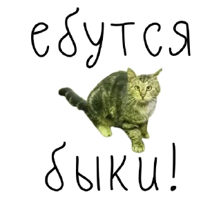 🐃 emoji коты ишачат на заводе Telegram sticker 22 of 34