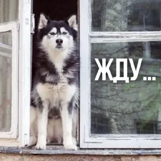 ⏳ emoji Умру на заводе Telegram sticker 13 of 39