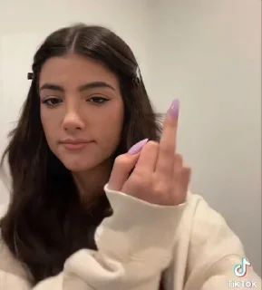 🖕 emoji чарли лав @vanillkis Telegram sticker 5 of 13