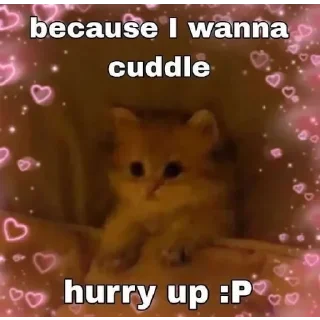 🫂 emoji Cute kitties Telegram sticker 6 of 106