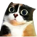 🤩 emoji куки | @sensforme Telegram sticker 1 of 32