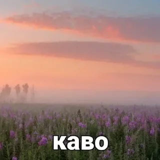 Sticker from iба чоткi пак @Kakeichi