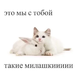 🌟 emoji Любовь Telegram sticker 8 of 81