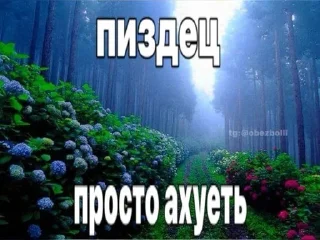 🌟 emoji природа ахуенная Telegram sticker 17 of 120