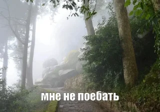 🌟 emoji природа ахуенная Telegram sticker 24 of 120