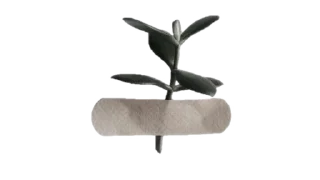 🌿 emoji little tender world Telegram sticker 22 of 51