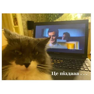 😐 emoji Аріночка Telegram sticker 13 of 16