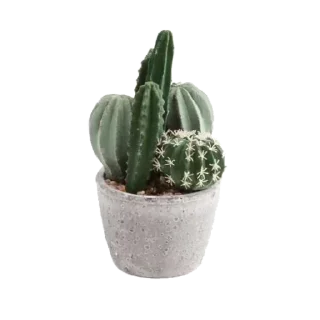 🌵 emoji @nightyuki осінньої ночі.. Telegram sticker 7 of 100