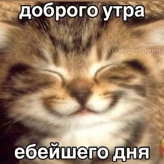 😊 emoji котьки хехе Telegram sticker 6 of 51