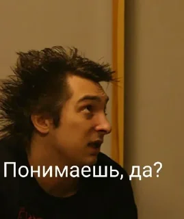 🌟 emoji ПАНКИ ХОЙ Telegram sticker 21 of 120