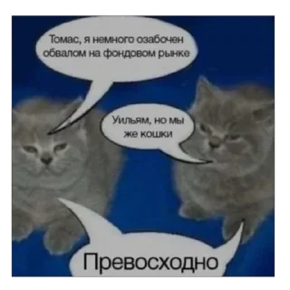 🐈‍⬛ emoji Доброе утро🌞 Telegram sticker 10 of 43