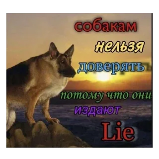 Sticker from Доброе утро🌞