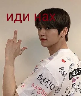 🌟 emoji Stray Kids (⁠●⁠♡⁠∀⁠♡⁠) Telegram sticker 13 of 31