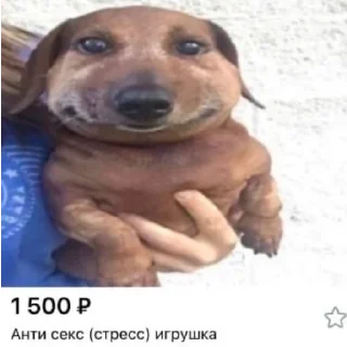 😄 emoji Серёга Telegram sticker 3 of 9