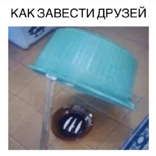 🤍 emoji Люти пон Telegram sticker 10 of 35