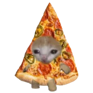 🍕 emoji Котики♡ Telegram sticker 24 of 100