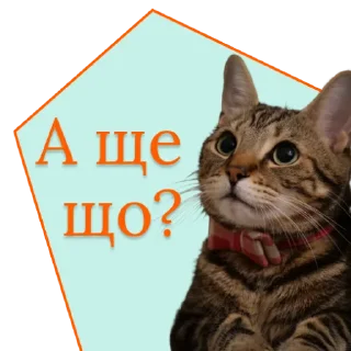 🧐 emoji ♡Примарні котики♡ Telegram sticker 10 of 36