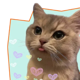 😋 emoji ♡Примарні котики♡ Telegram sticker 2 of 36