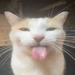 😛 emoji Мои стикеры Telegram sticker 6 of 97