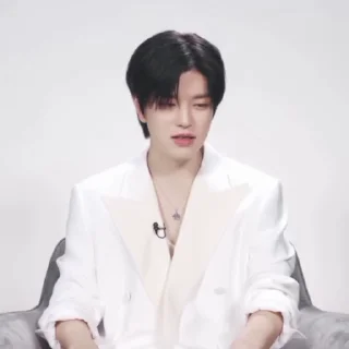 🤍 emoji ᴘᴜᴘᴘʏ sᴇᴜɴɢᴍɪɴ @seungmin_archi Telegram sticker 18 of 35