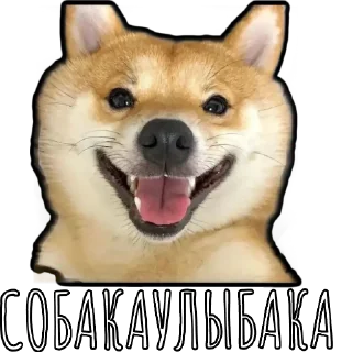 Sticker from Шибаинка