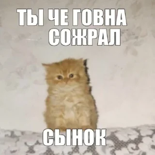 😚 emoji нара чебурашка Telegram sticker 8 of 65