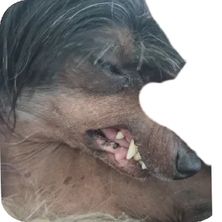 🤬 emoji Лёва Telegram sticker 24 of 24