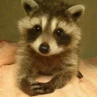 🧐 emoji хиханьки да хаханьки Telegram sticker 8 of 50