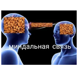 Sticker from Токсик