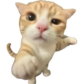 😡 emoji luv 🐈‍⬛🐾 :: @murzxc Telegram sticker 12 of 120