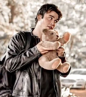 🐻 emoji Дневники вампира Telegram sticker 13 of 77