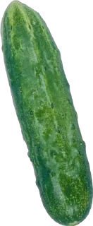 🥒 emoji 🥒 Telegram sticker 9 of 53