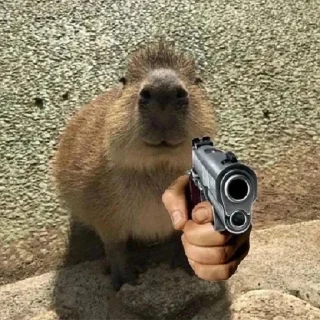 🔫 emoji капибавы (https://t.me/tg_free_stickers) Telegram sticker 8 of 48
