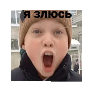 🤬 emoji Бобер Telegram sticker 9 of 11