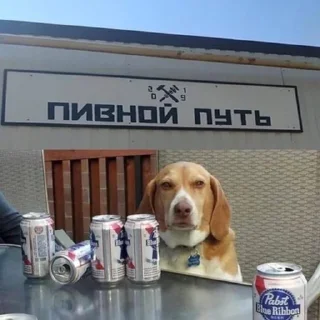 🐶 emoji Диназавр плов Telegram sticker 16 of 32
