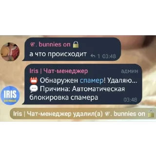 🫥 emoji сука регина Telegram sticker 23 of 35
