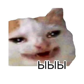 😀 emoji Cats&cats&cats&cats Telegram sticker 7 of 55