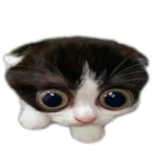 Sticker from what the actual hell