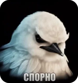 Sticker from Quixotic Puffin