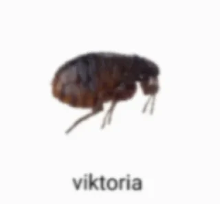 😍 emoji бывает Telegram sticker 20 of 120