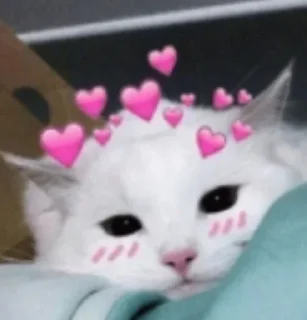 🤑 emoji Главный пак Telegram sticker 11 of 40